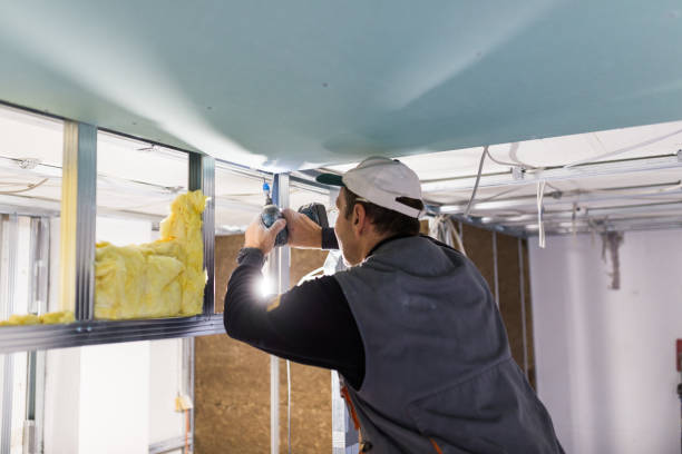 Best Garage Insulation Installation  in Bloomfield, IA