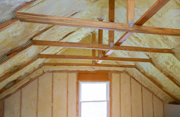 Best Blown-in Insulation  in Bloomfield, IA