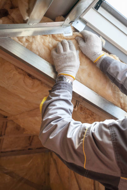 Best Spray Foam Insulation  in Bloomfield, IA