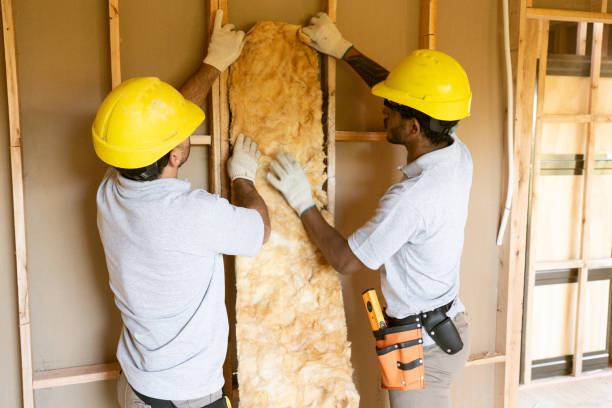 Best Insulation Repair Services  in Bloomfield, IA